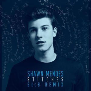 Shawn Mendes – Stitches (Seeb Remix)【44.1kHz／16bit】丹麦区-OppsUpro音乐帝国