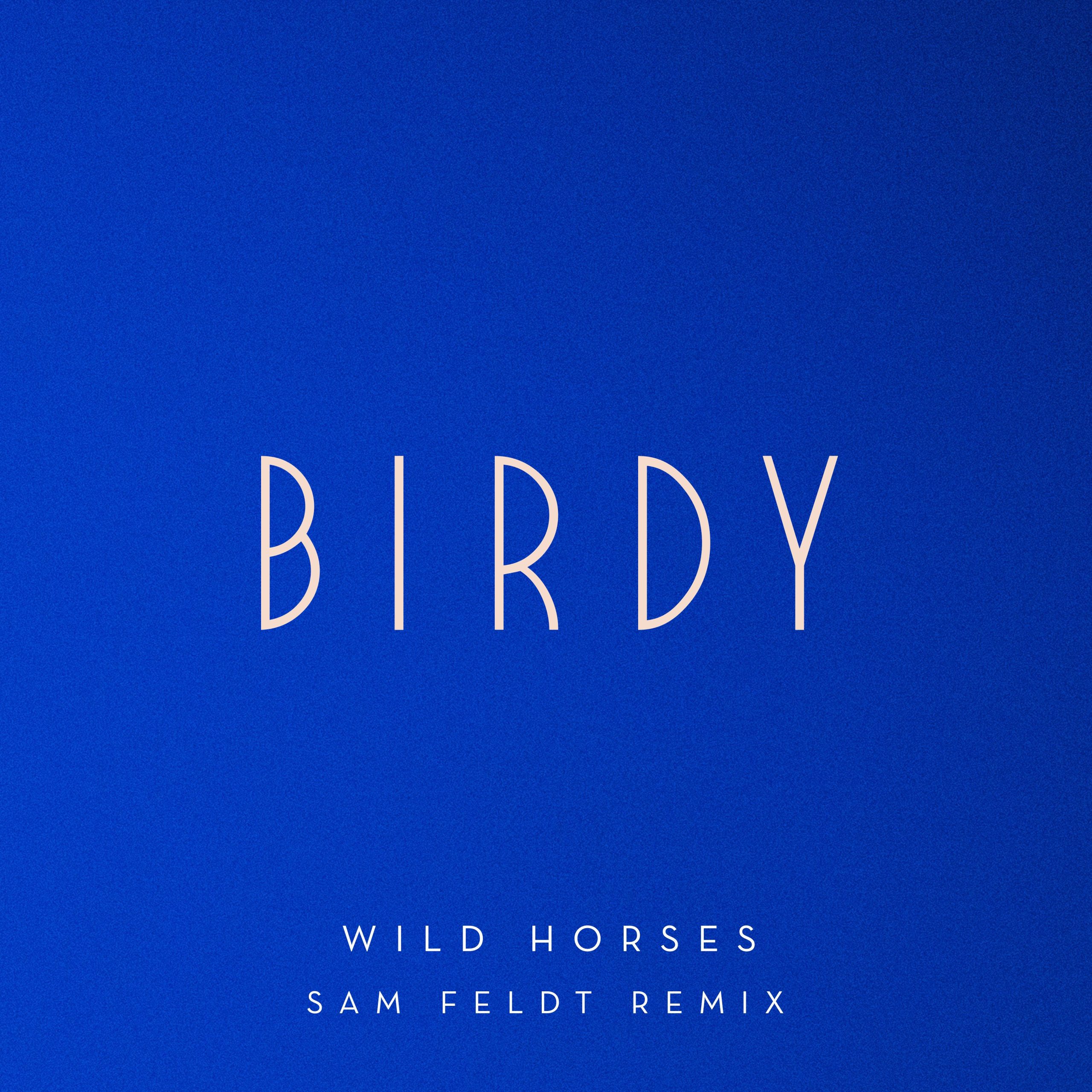 Birdy – Wild Horses (Sam Feldt Remix)【44.1kHz／16bit】新西兰区-OppsUpro音乐帝国