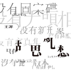 王菲 – 胡思乱想 (Remastered 2019)【44.1kHz／16bit】法国区-OppsUpro音乐帝国