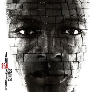 Seal – Amazing (The Remixes)【44.1kHz／16bit】加拿大区-OppsUpro音乐帝国