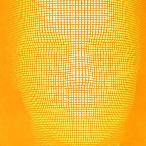 Björk – Alarm Call (Version 3)【44.1kHz／16bit】澳大利亚区-OppsUpro音乐帝国