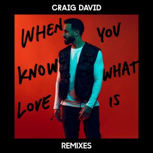 Craig David – When You Know What Love Is (Remixes)【44.1kHz／16bit】芬兰区-OppsUpro音乐帝国