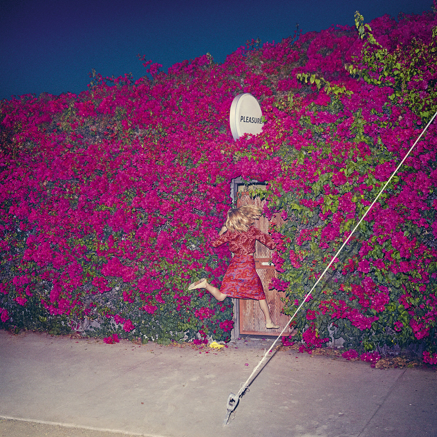 Feist – Pleasure【44.1kHz／16bit】英国区-OppsUpro音乐帝国