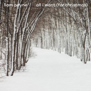 Liam Payne – All I Want (For Christmas)【44.1kHz／16bit】法国区-OppsUpro音乐帝国