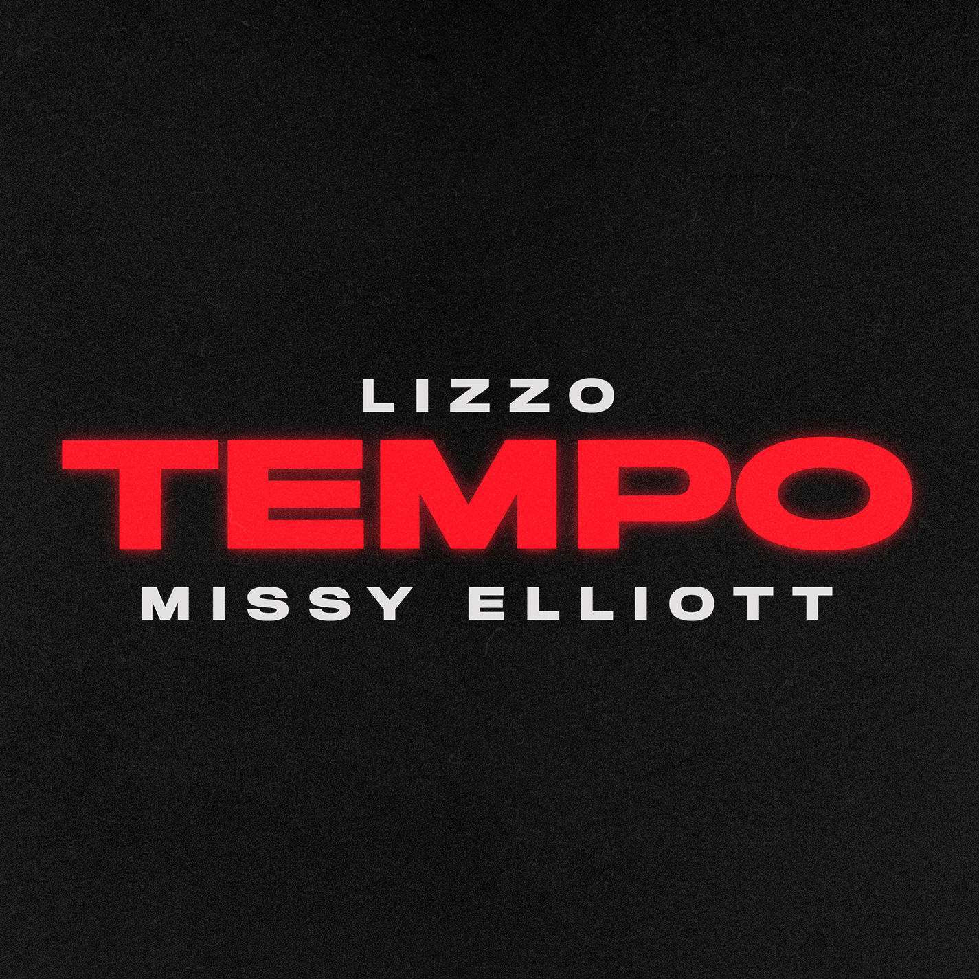 Lizzo – Tempo (feat. Missy Elliott)Ⓔ【44.1kHz／24bit】英国区-OppsUpro音乐帝国