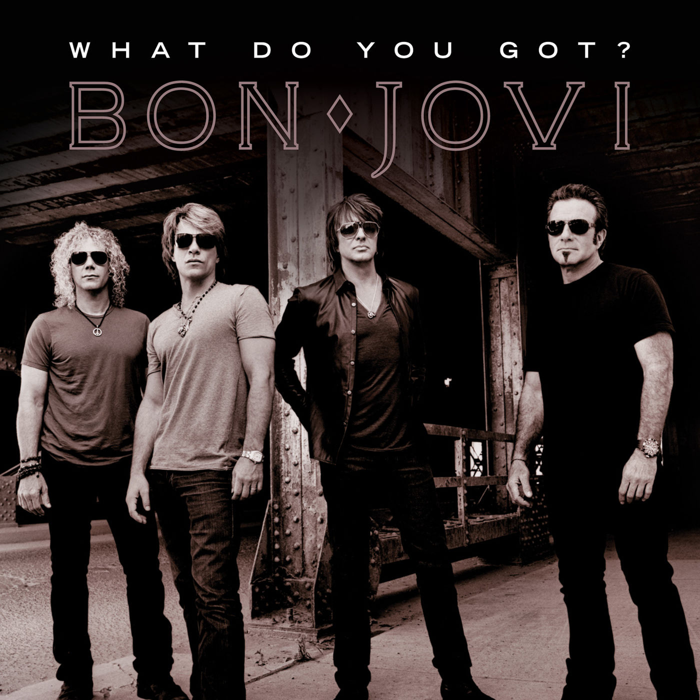 Bon Jovi – What Do You Got？【44.1kHz／16bit】荷兰区-OppsUpro音乐帝国