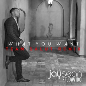 Jay Sean – What You Want (Team Salut Remix)【44.1kHz／16bit】美国区-OppsUpro音乐帝国