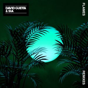 David Guetta – Flames (Remixes EP)【44.1kHz／16bit】德国区-OppsUpro音乐帝国