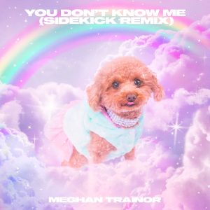 Meghan Trainor – You Don＇t Know Me (Sidekick Remix)【44.1kHz／24bit】荷兰区-OppsUpro音乐帝国