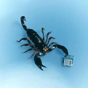 Miguel – Number 9【48kHz／24bit】加拿大区-OppsUpro音乐帝国