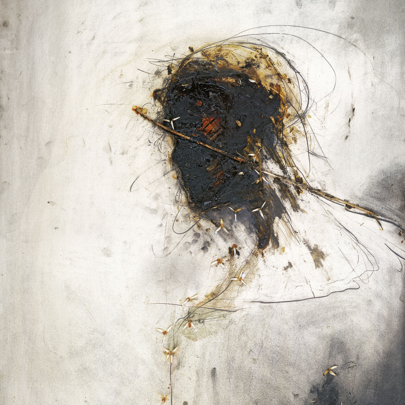 Peter Gabriel – Passion (Music For The Last Temptation Of Christ ／ Remastered)【44.1kHz／16bit】意大利区-OppsUpro音乐帝国