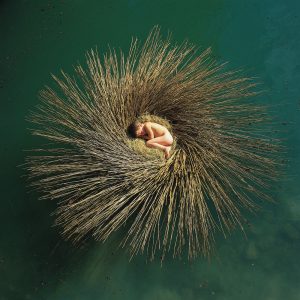 Peter Gabriel – OVO【44.1kHz／24bit】意大利区-OppsUpro音乐帝国