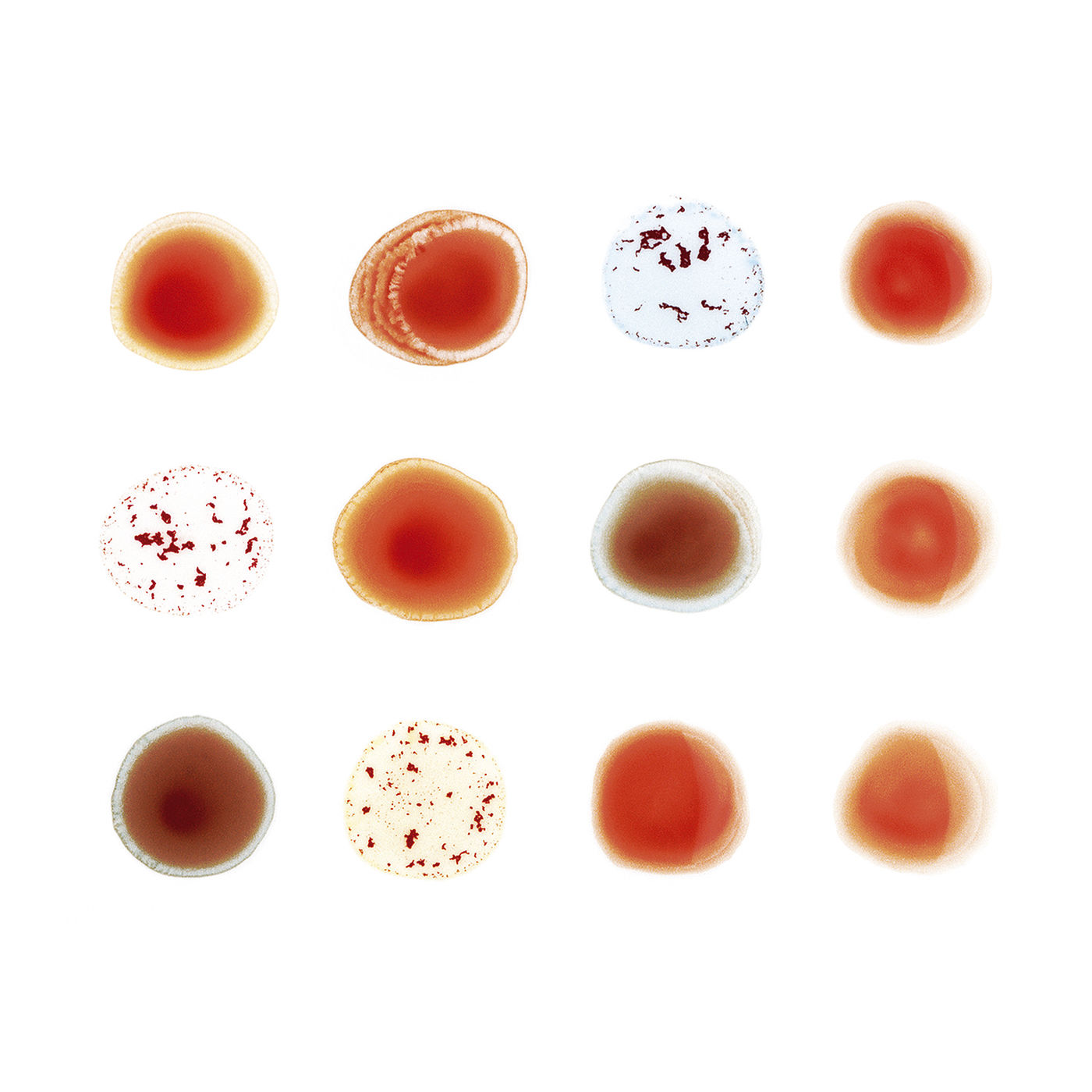 Peter Gabriel – Scratch My Back ／ And I’ll Scratch Yours【44.1kHz／16bit】意大利区-OppsUpro音乐帝国