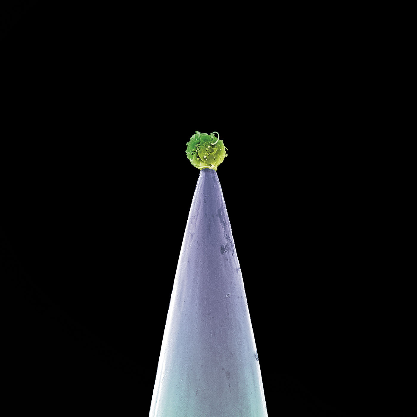 Peter Gabriel – New Blood (Special Edition)【44.1kHz／16bit】意大利区-OppsUpro音乐帝国