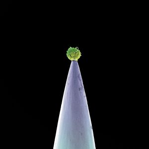 Peter Gabriel – New Blood (Special Edition)【48kHz／24bit】意大利区-OppsUpro音乐帝国
