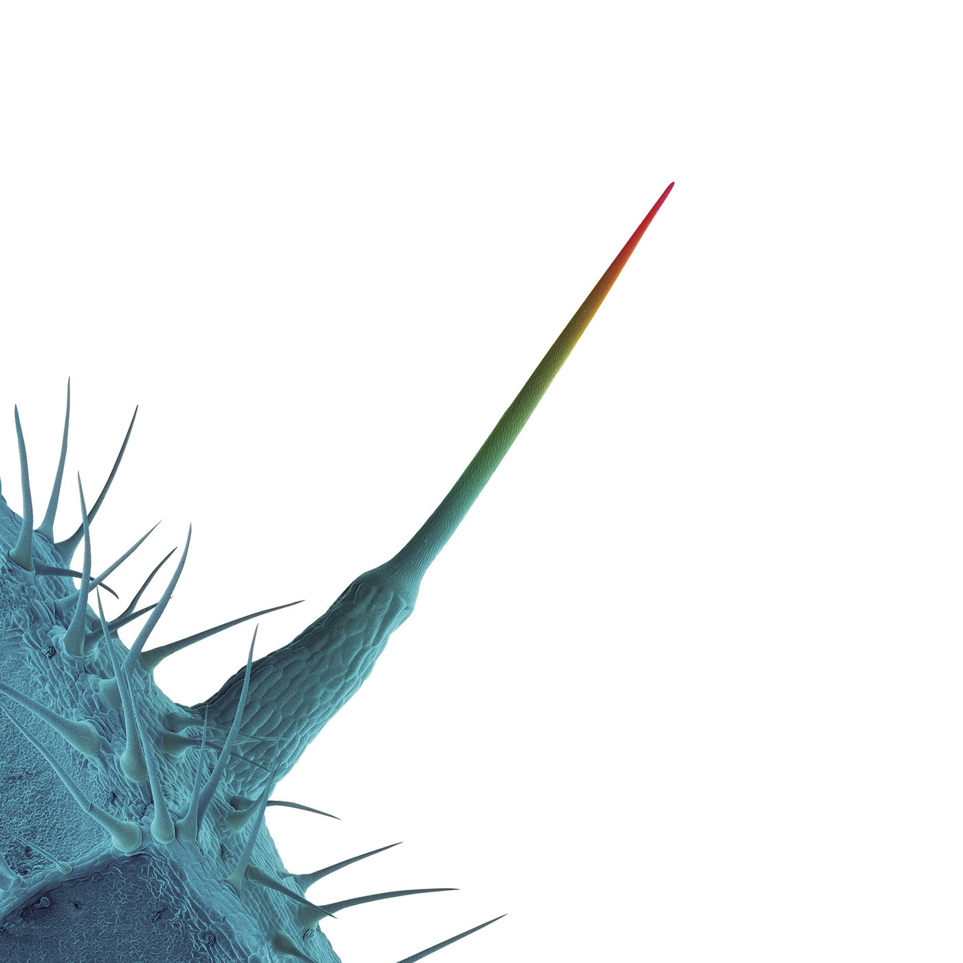 Peter Gabriel – And I＇ll Scratch Yours【44.1kHz／24bit】意大利区-OppsUpro音乐帝国