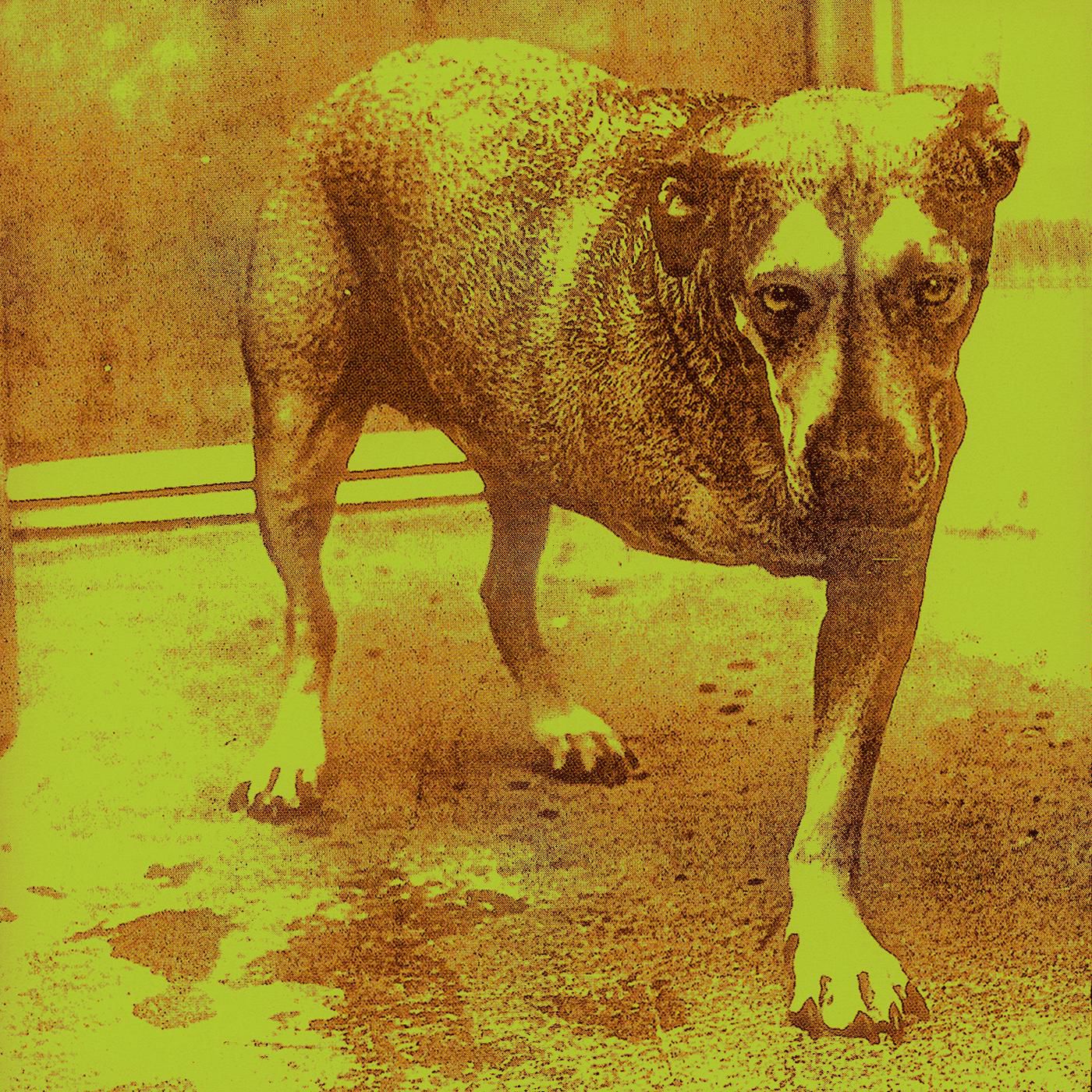Alice In Chains – Alice In ChainsⒺ【44.1kHz／16bit】意大利区-OppsUpro音乐帝国
