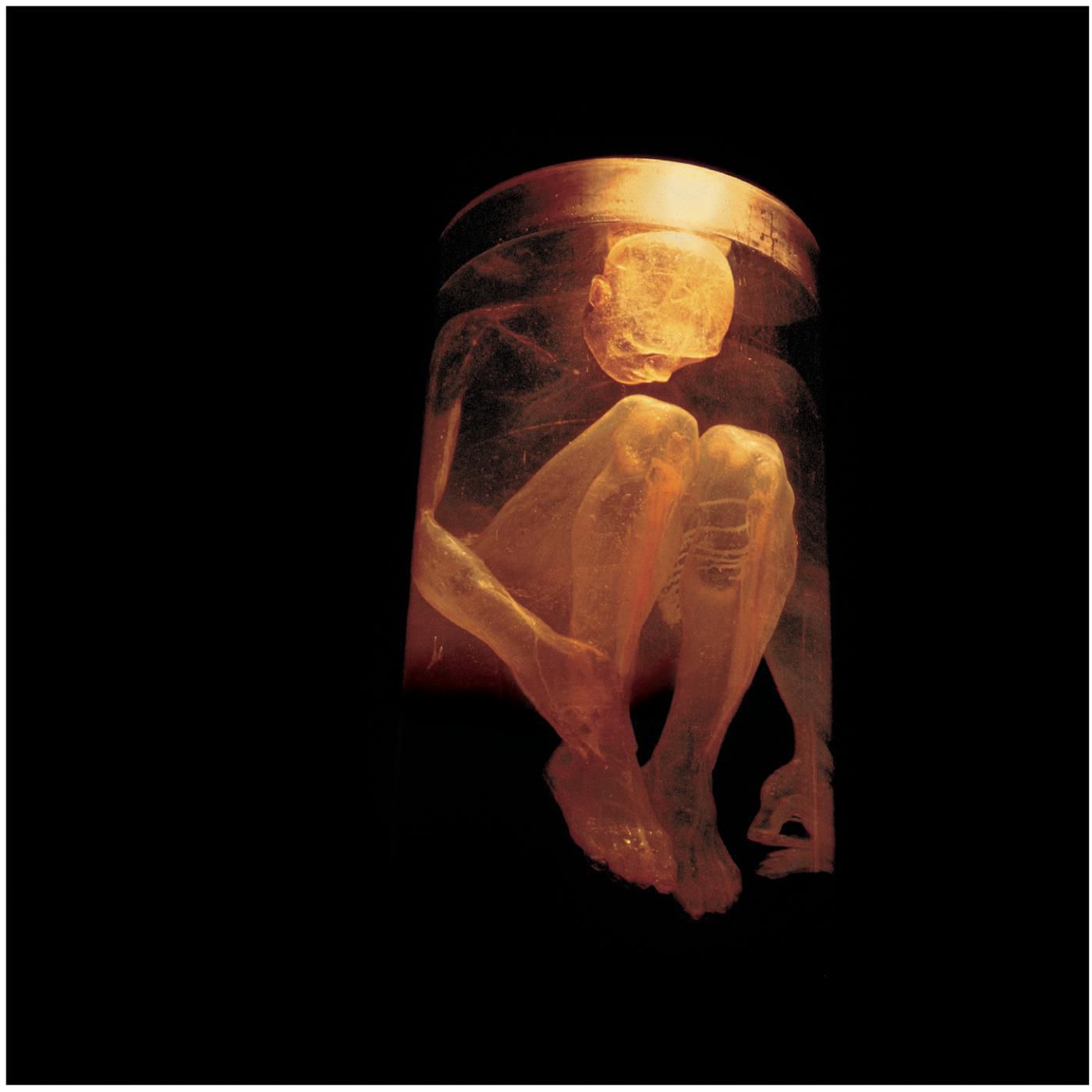 Alice In Chains – Nothing Safe – The Best Of The BoxⒺ【44.1kHz／16bit】0888880156198意大利区-OppsUpro音乐帝国