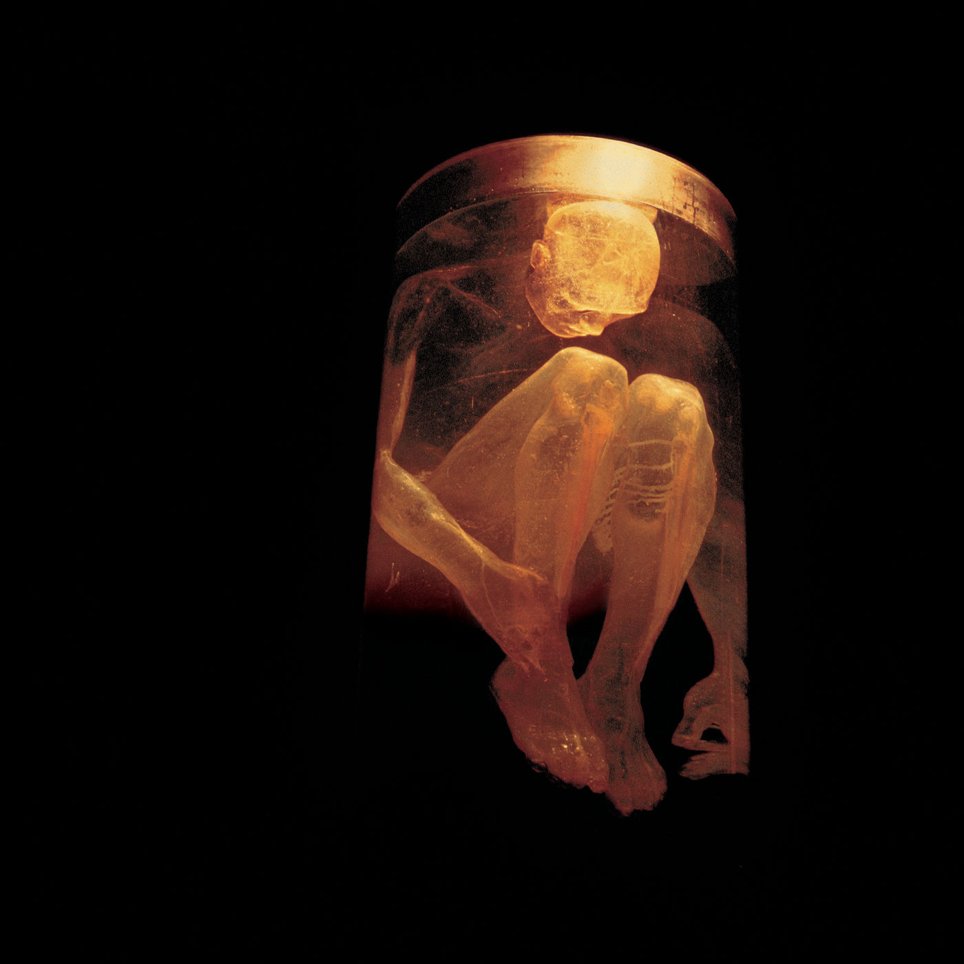 Alice In Chains – Nothing Safe – The Best Of The BoxⒺ【44.1kHz／16bit】意大利区-OppsUpro音乐帝国