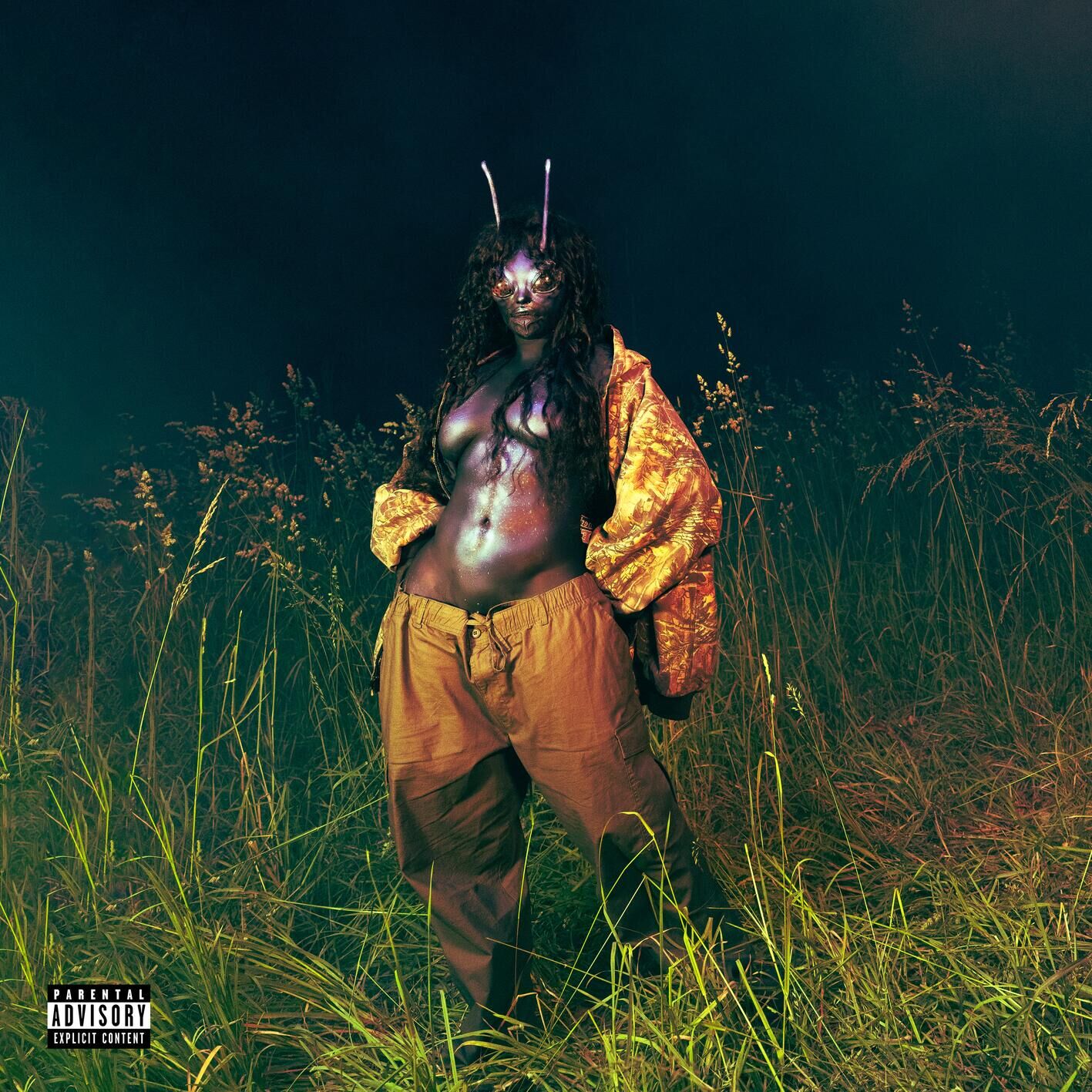 SZA – SOS Deluxe： LANAⒺ【44.1kHz／24bit】h4gvv3ksw94ka英国区-OppsUpro音乐帝国