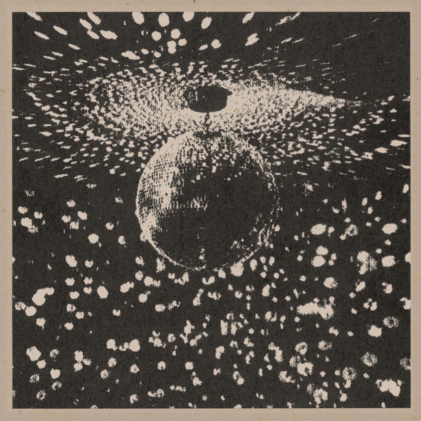 Neil Young – Mirror Ball【44.1kHz／16bit】西班牙区-OppsUpro音乐帝国