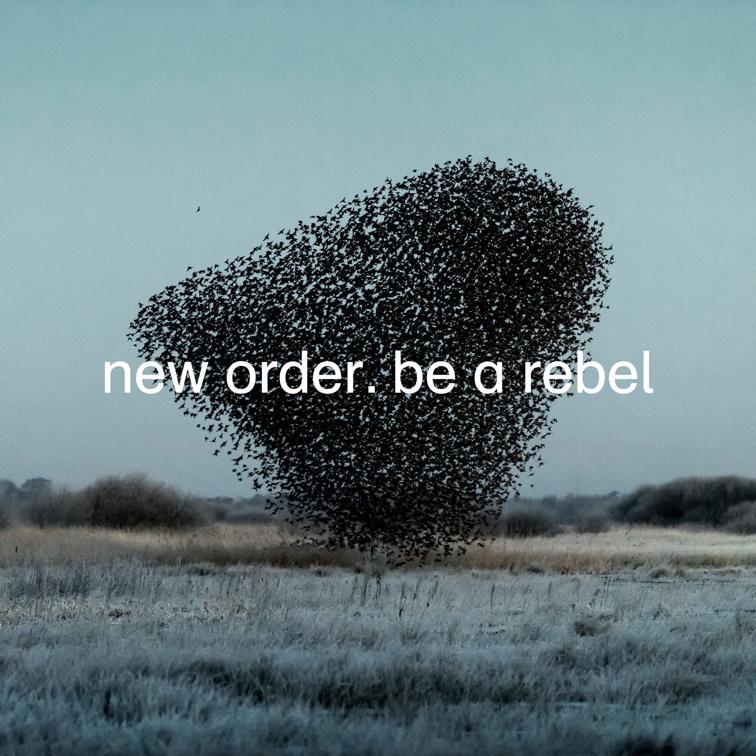 New Order – Be a Rebel【44.1kHz／24bit】j8bds8urdgdpa美国区-OppsUpro音乐帝国