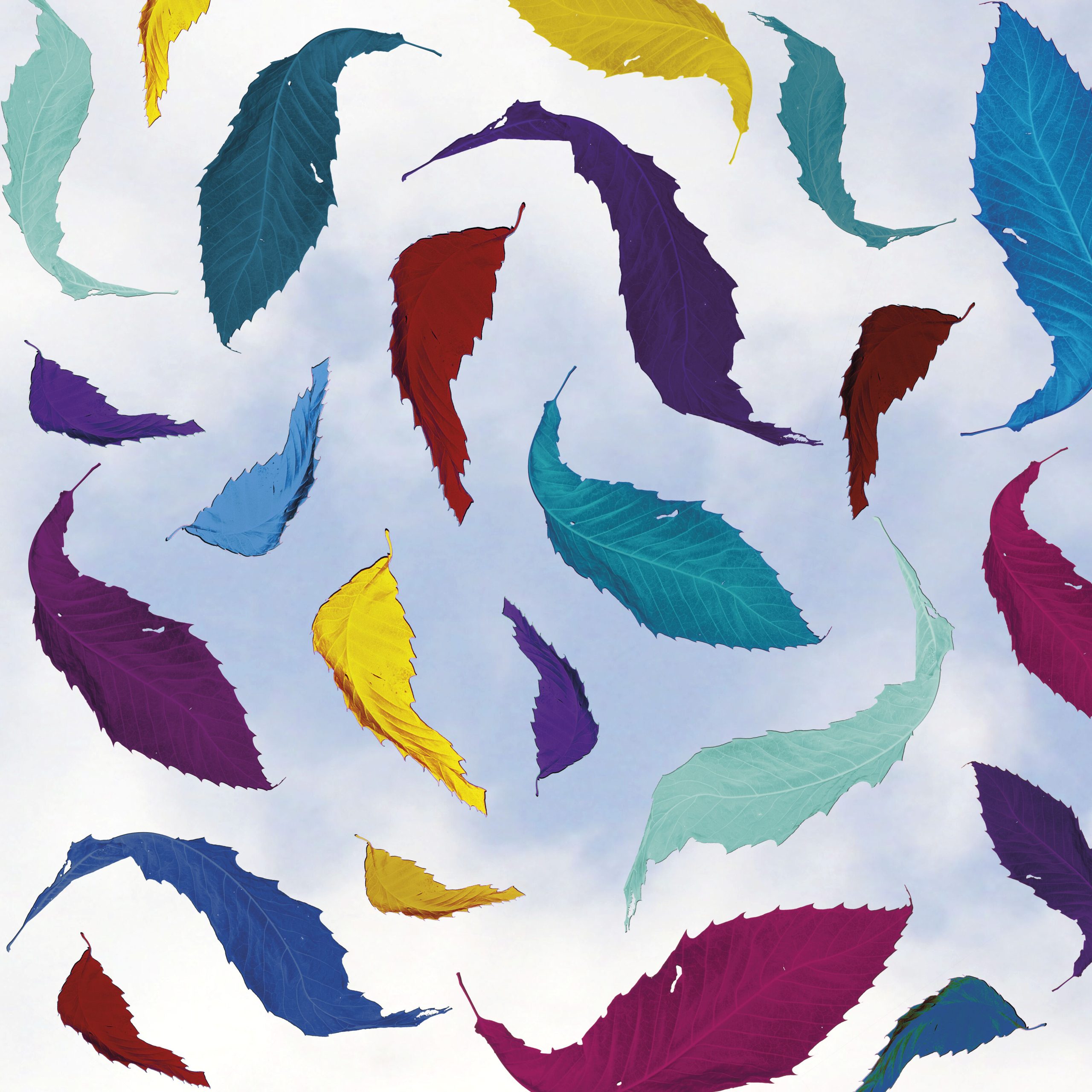 New Order – True Faith Remix (2023 Digital Master)【96kHz／24bit】美国区-OppsUpro音乐帝国