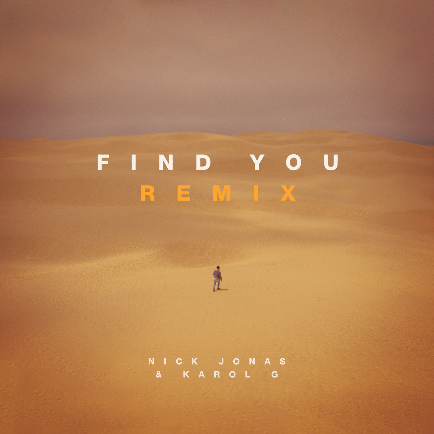 Nick Jonas – Find You (Remix)【44.1kHz／16bit】美国区-OppsUpro音乐帝国