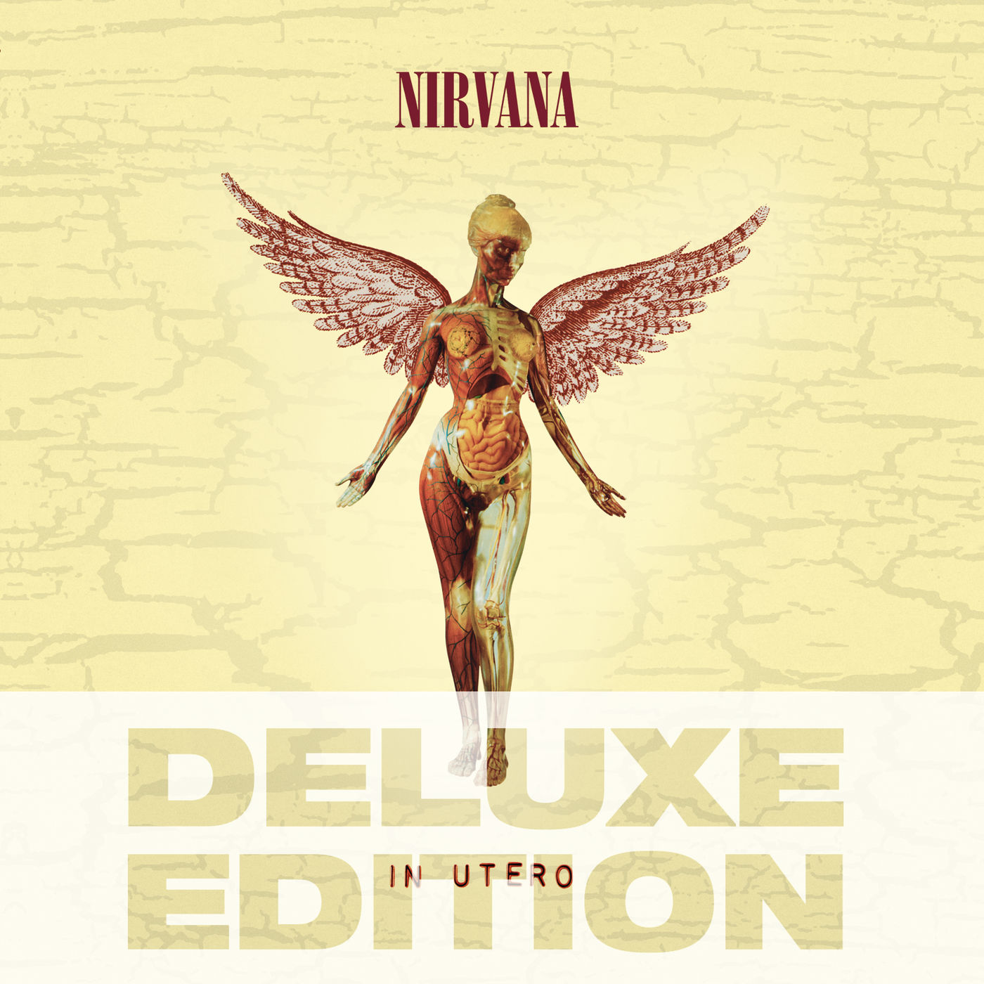 Nirvana – In Utero (20th Anniversary Deluxe Edition)【44.1kHz／24bit】法国区-OppsUpro音乐帝国