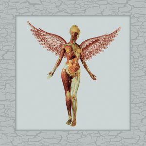 Nirvana – In Utero (30th Anniversary Super Deluxe)【44.1kHz／16bit】法国区-OppsUpro音乐帝国