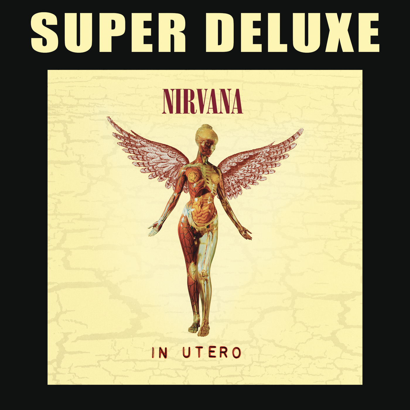 Nirvana – In Utero (Super Deluxe Edition)法国区-OppsUpro音乐帝国