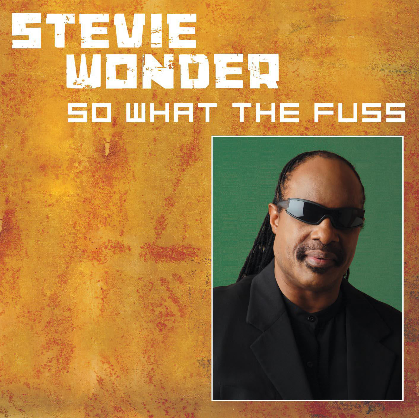 Stevie Wonder – So What The Fuss【44.1kHz／16bit】0060249881339德国区-OppsUpro音乐帝国