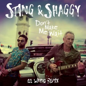 Sting – Don＇t Make Me Wait： iLL Wayno (iLL Wayno Remix)【44.1kHz／16bit】德国区-OppsUpro音乐帝国
