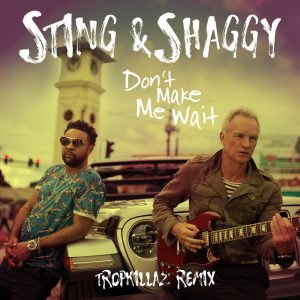 Sting – Don＇t Make Me Wait： Tropkillaz Remix (Tropkillaz Remix)【44.1kHz／16bit】德国区-OppsUpro音乐帝国