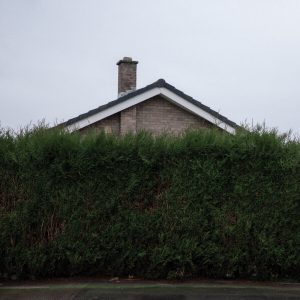 The 1975 – Still… At Their Very Best (Live From The AO Arena, Manchester, 17.02.24)Ⓔ【44.1kHz／16bit】英国区-OppsUpro音乐帝国