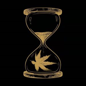 梁博 – 想念（Rehearsal Version）【44.1kHz／16bit】美国区-OppsUpro音乐帝国