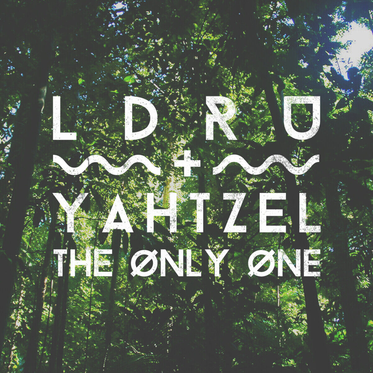 L D R U – The Only One【44.1kHz／16bit】爱尔兰区-OppsUpro音乐帝国