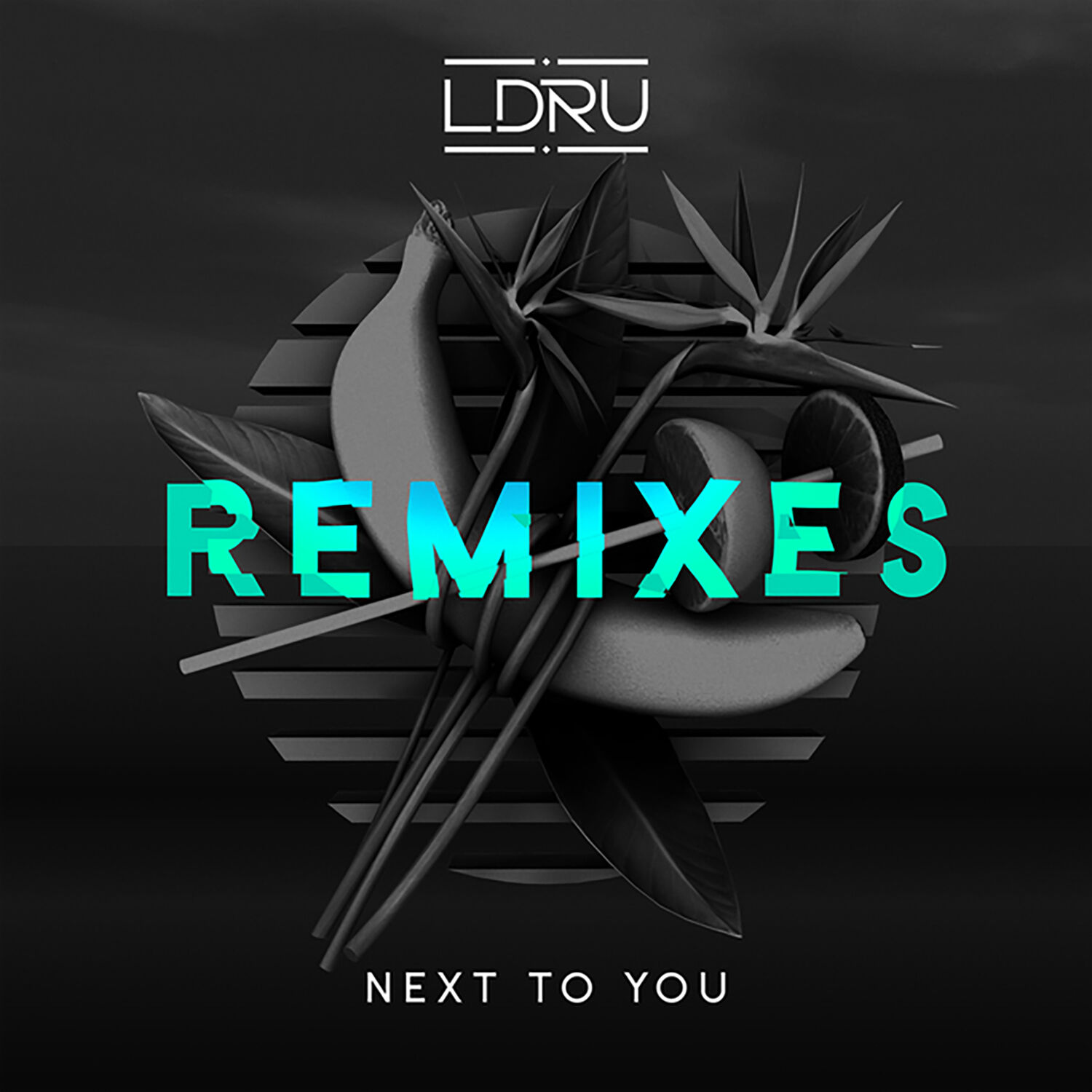 L D R U – Next to You (feat. Savoi) (Remixes)Ⓔ【44.1kHz／16bit】爱尔兰区-OppsUpro音乐帝国