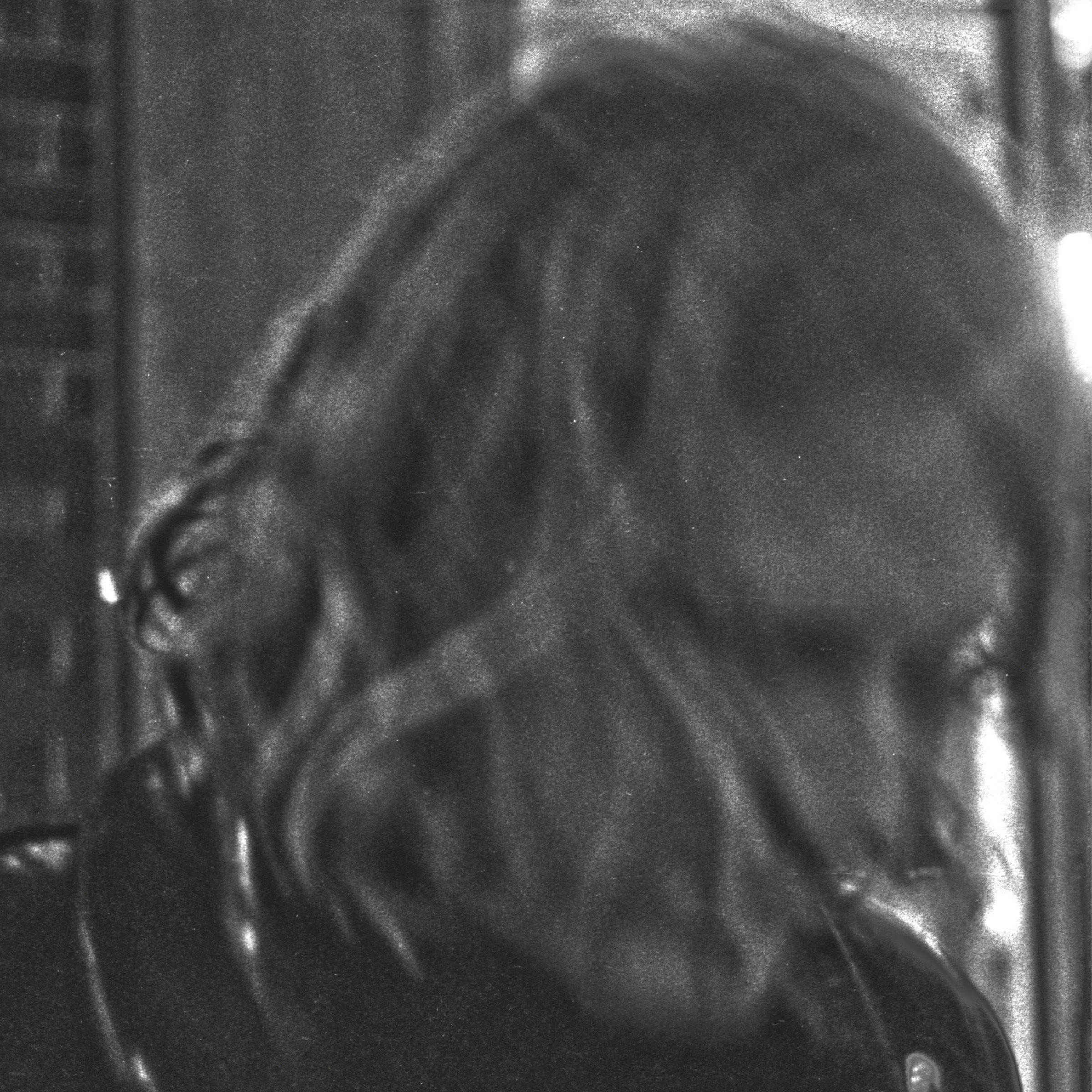 Ty Segall – Ty Segall【44.1kHz／16bit】法国区-OppsUpro音乐帝国