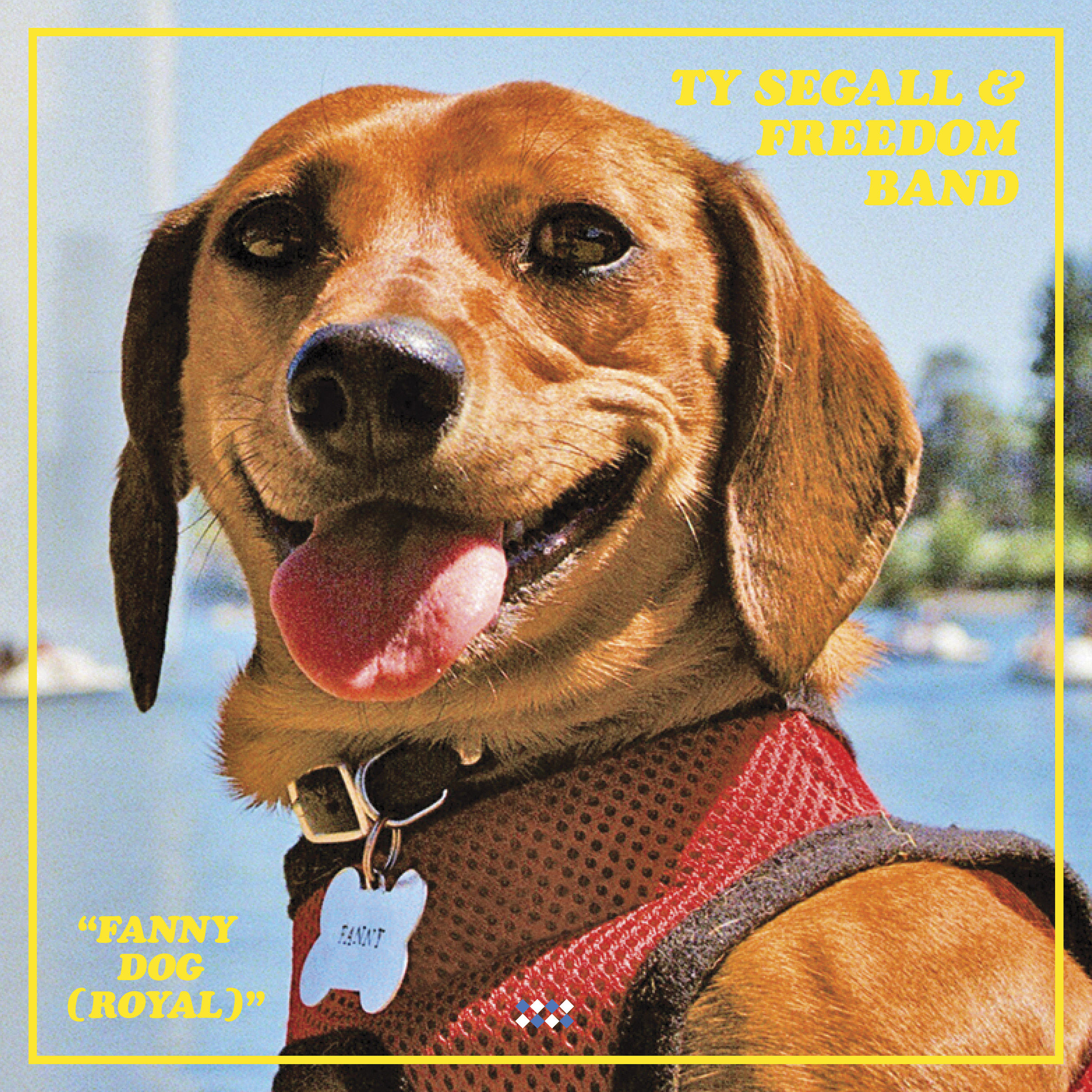 Ty Segall – Fanny Dog (Royal)【44.1kHz／16bit】法国区-OppsUpro音乐帝国