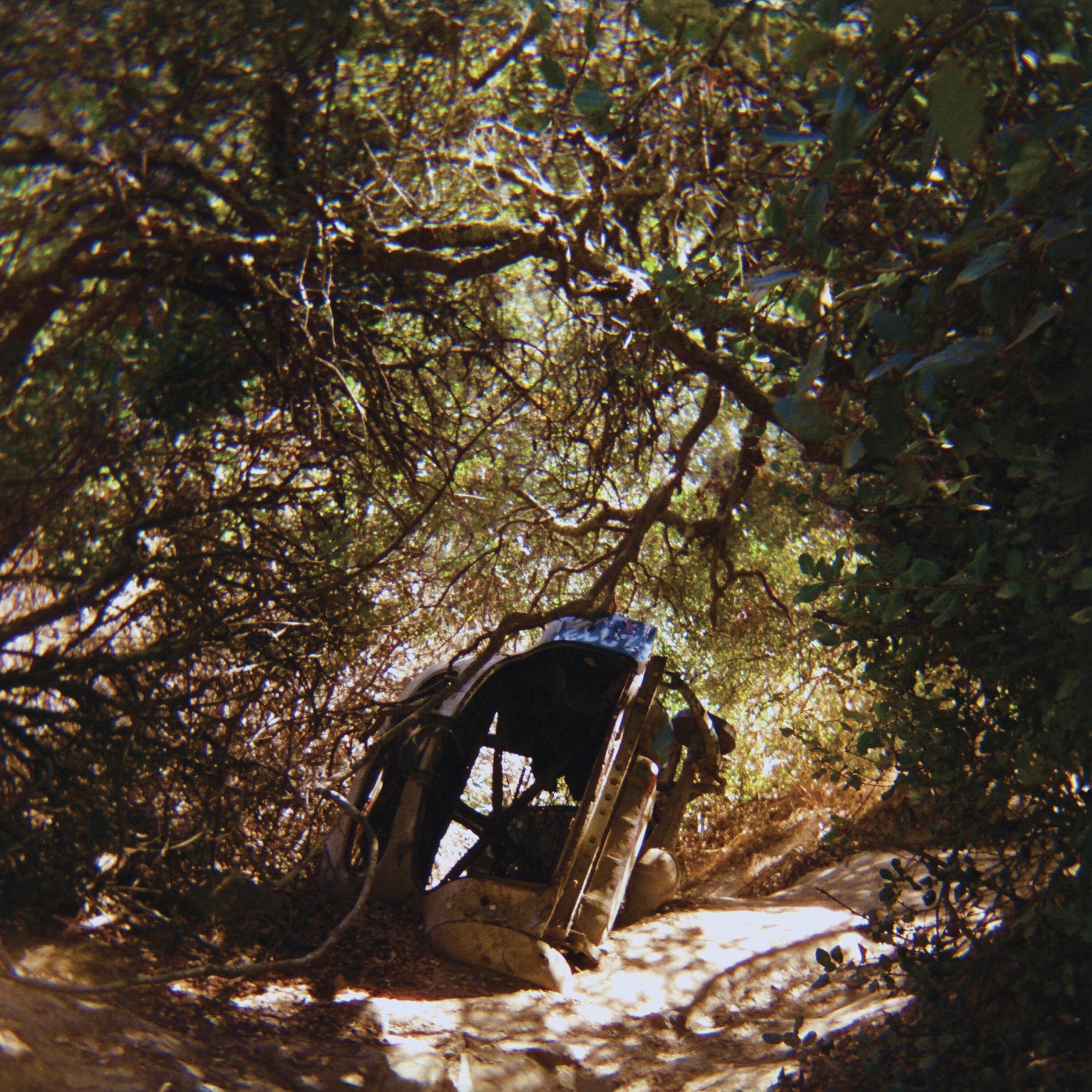 Ty Segall – Fantastic Tomb【48kHz／24bit】法国区-OppsUpro音乐帝国