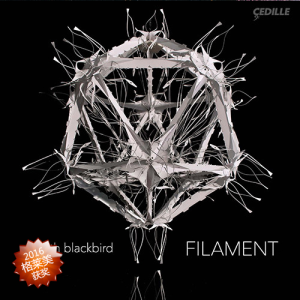 Eighth Blackbird – FILAMENT-OppsUpro音乐帝国