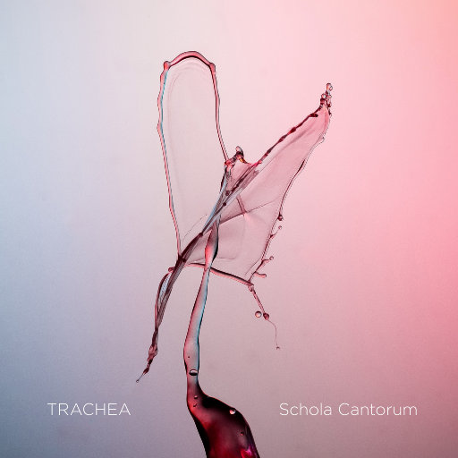 Schola Cantorum – TRACHEA (352.8kHz DXD)-OppsUpro音乐帝国