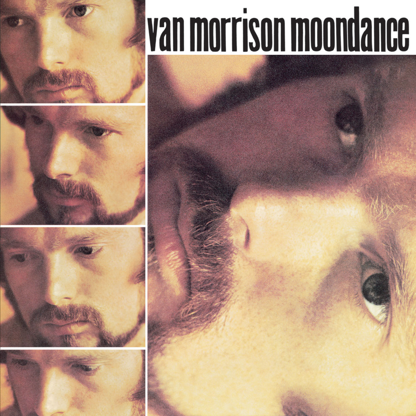 Van Morrison – Moondance (2013 Remaster)【44.1kHz／16bit】法国区-OppsUpro音乐帝国