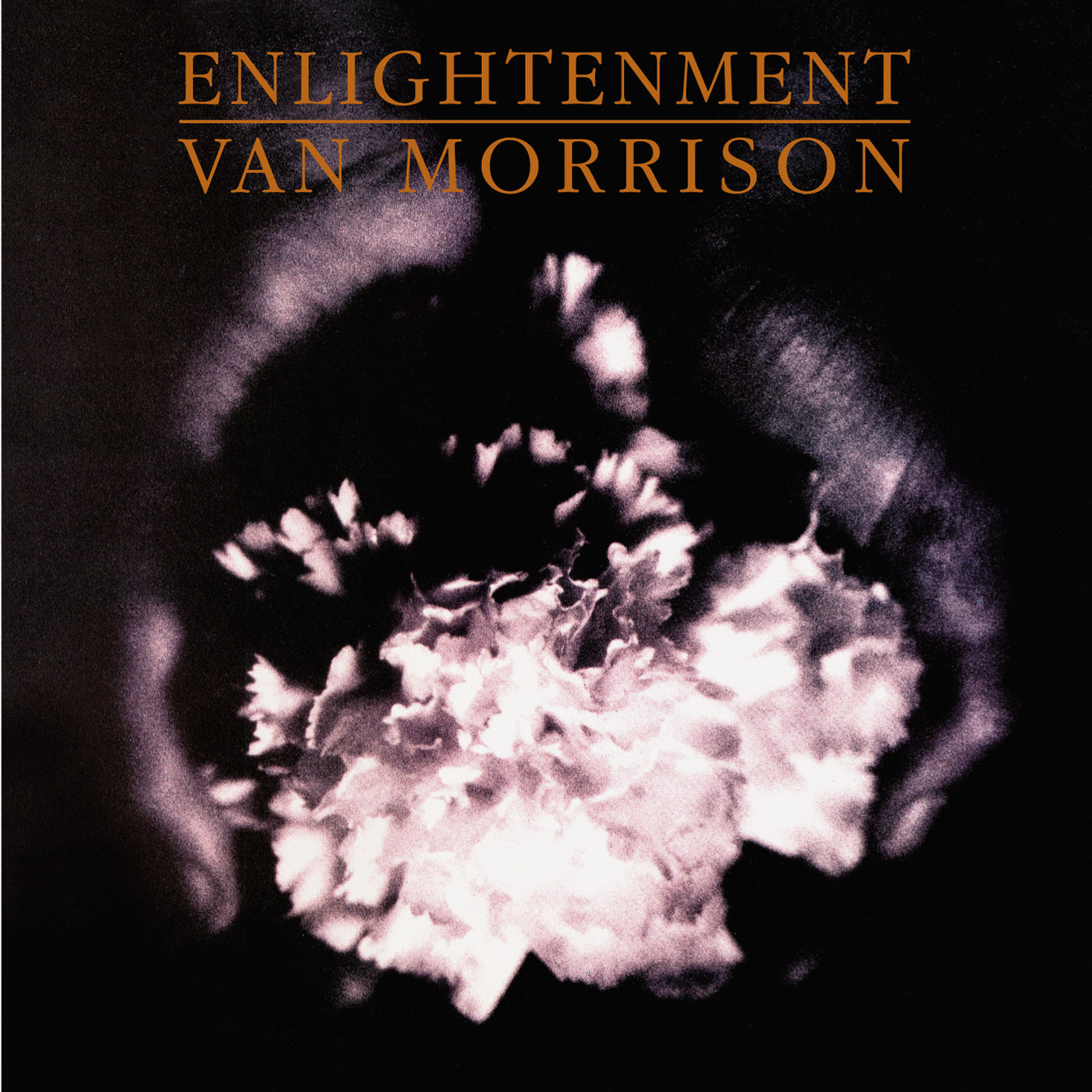 Van Morrison - Enlightenment【96kHz／24bit】法国区-OppsUpro音乐帝国