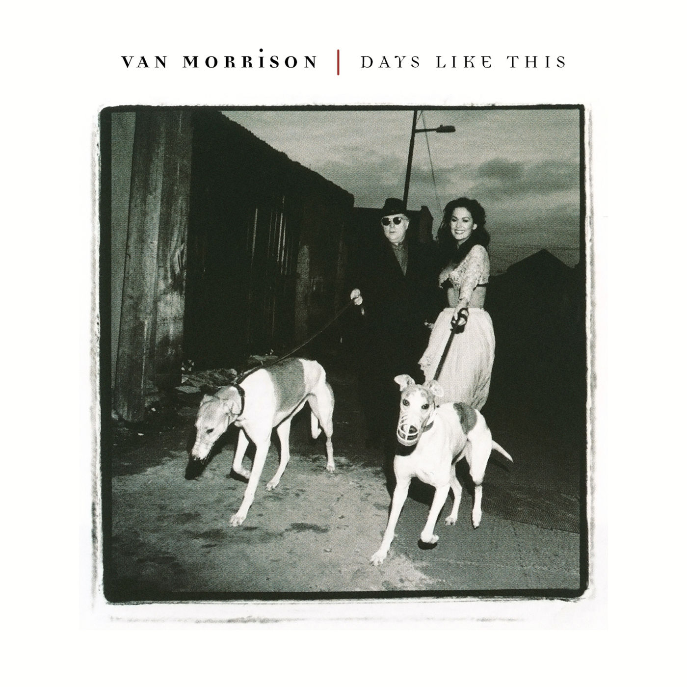 图片[1]-Van Morrison – Days Like This【96kHz／24bit】法国区-OppsUpro音乐帝国