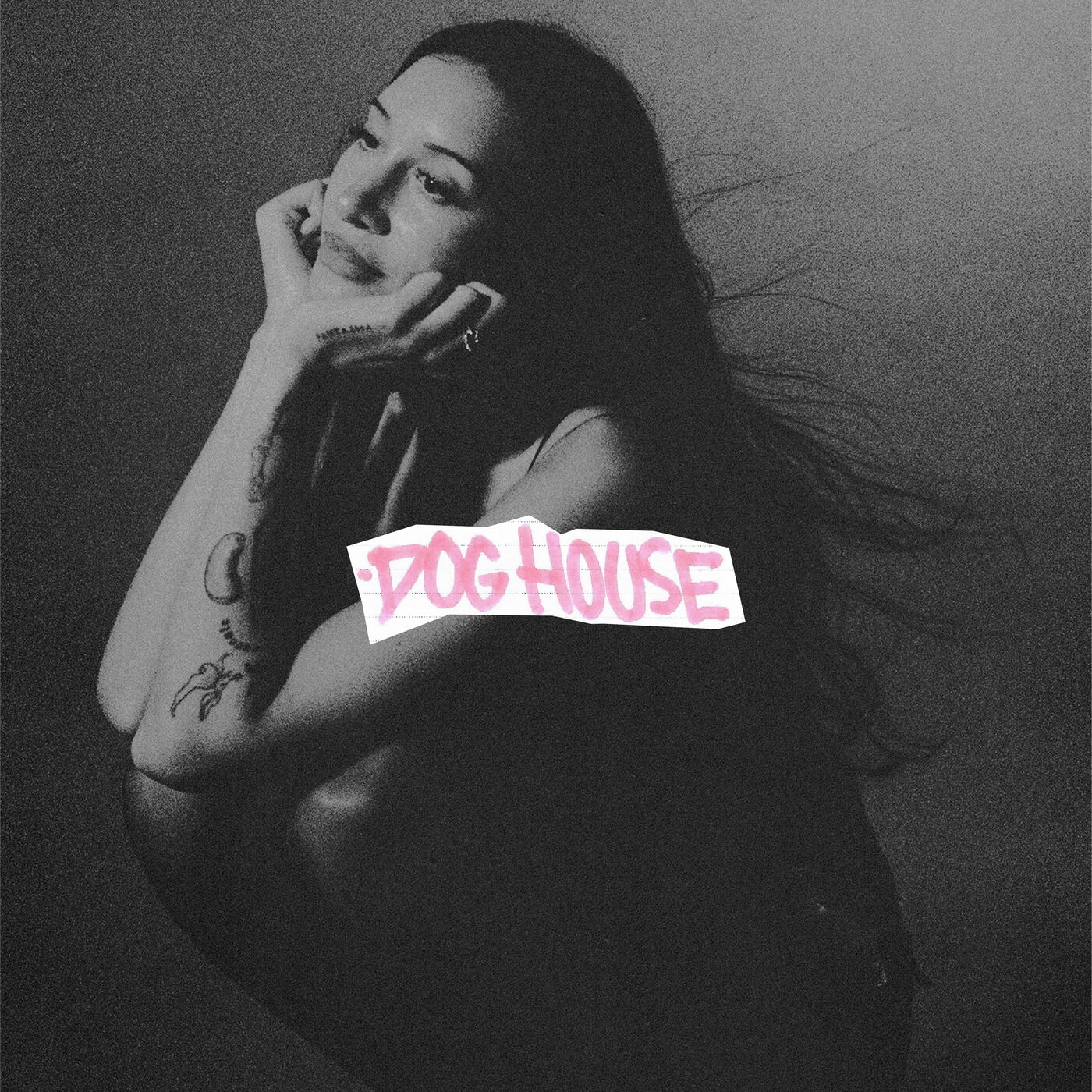 Drake - DOG HOUSE【48kHz／24bit】法国区-OppsUpro音乐帝国