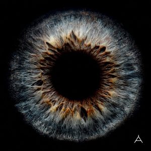 林宥嘉 – Apples of Thy Eye【48kHz／24bit】法国区-OppsUpro音乐帝国