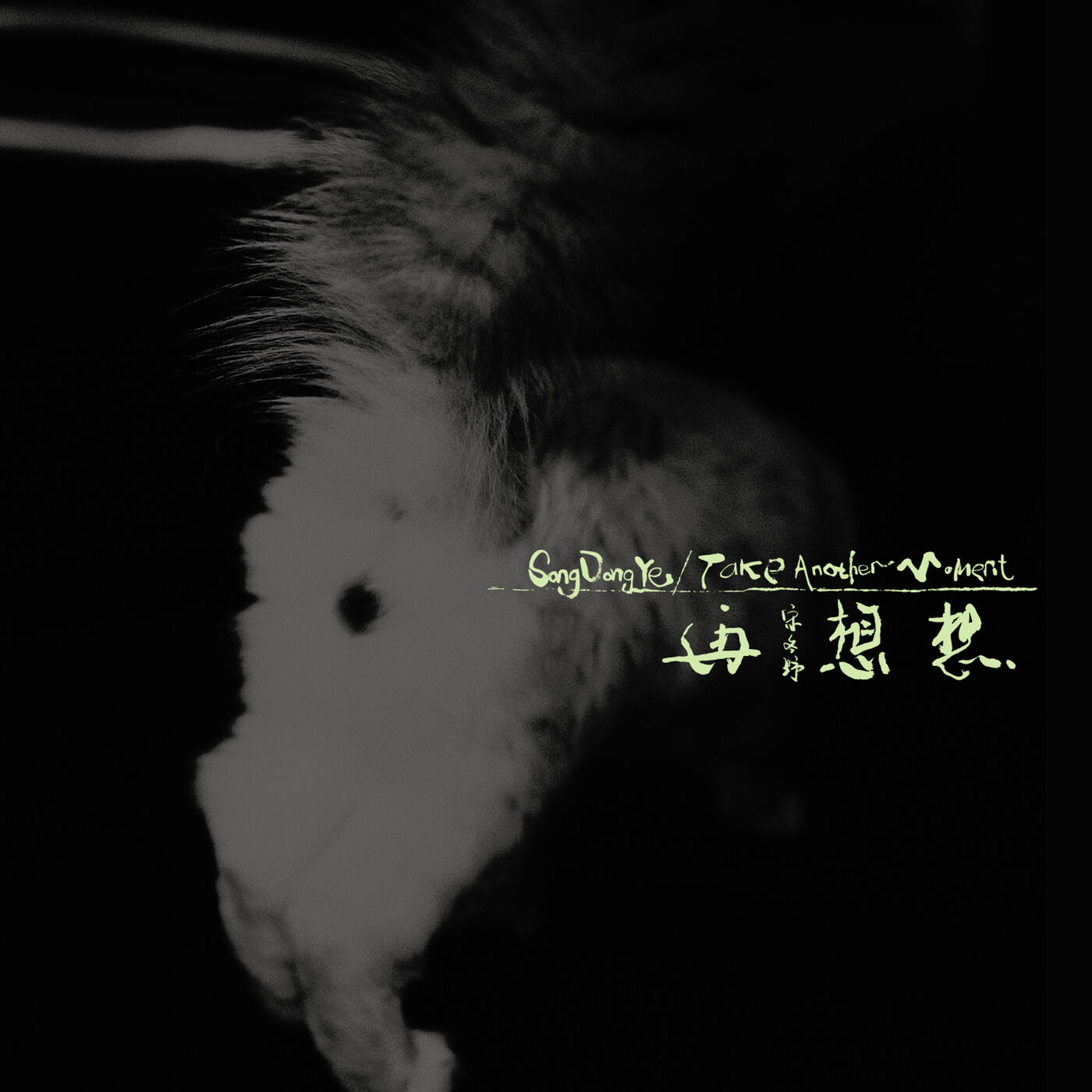 宋冬野 – 再想想【44.1kHz／16bit】德国区-OppsUpro音乐帝国