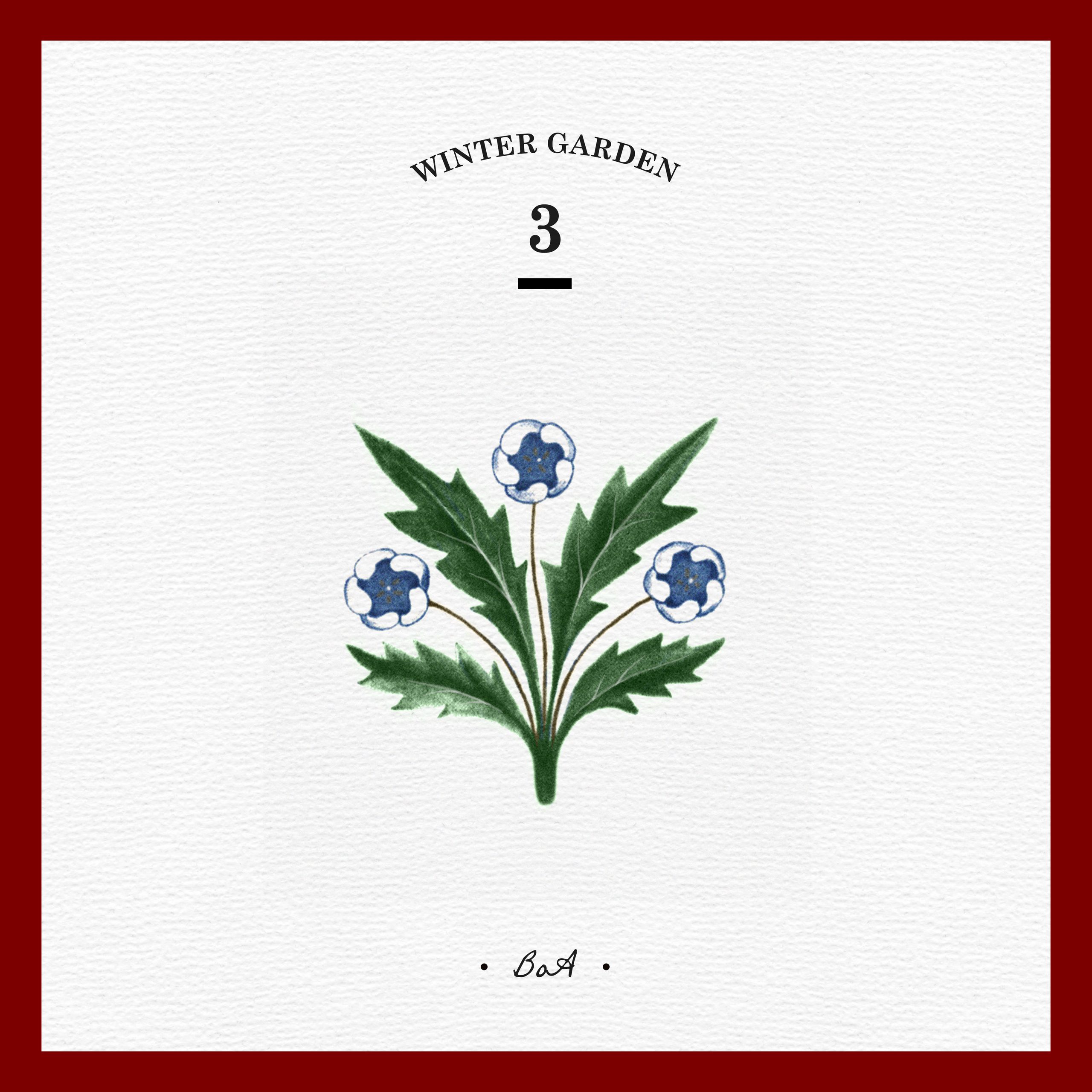 BoA – Christmas Paradise – WINTER GARDEN【44.1kHz／16bit】德国区-OppsUpro音乐帝国
